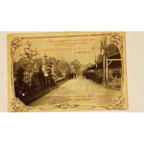 Carte Postale Faure Laurent Horticulture