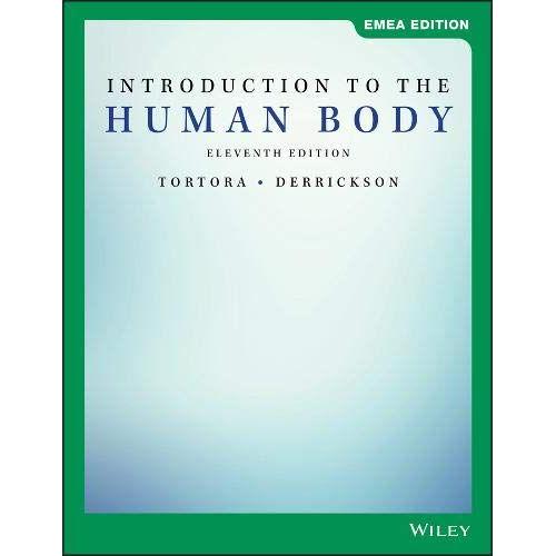 Introduction To The Human Body