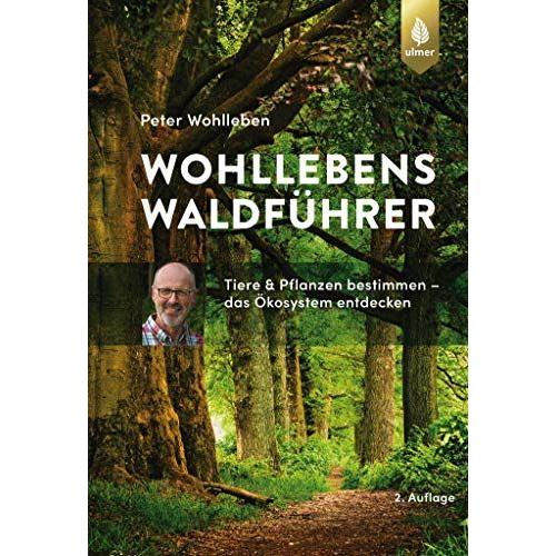 Wohllebens Waldführer