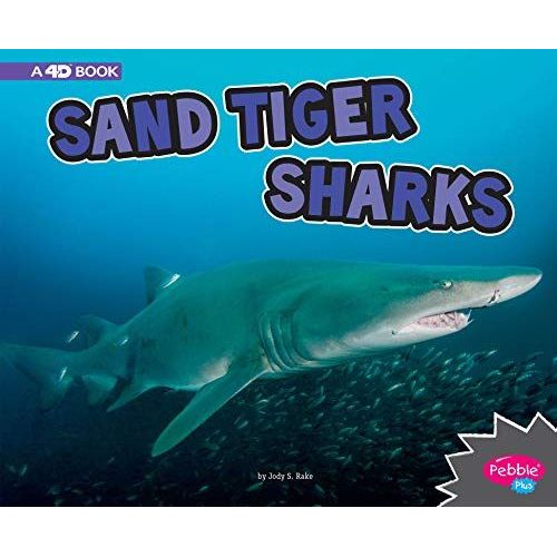 Sand Tiger Sharks