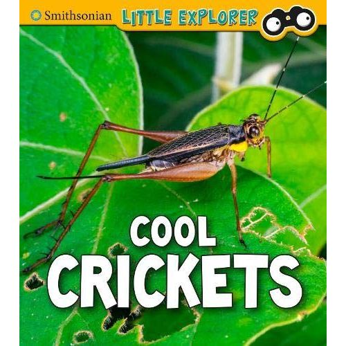 Cool Crickets