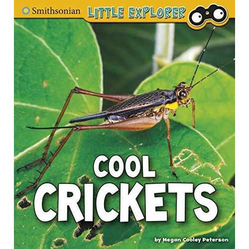 Cool Crickets