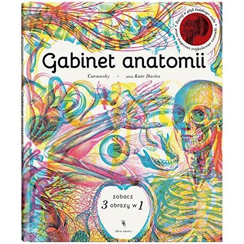 Gabinet Anatomii
