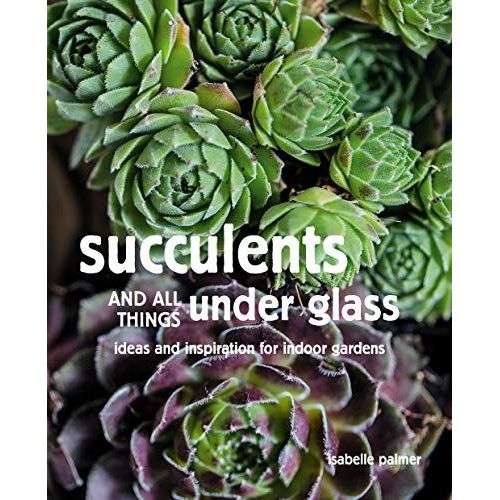 Succulents And All Things Under Glass