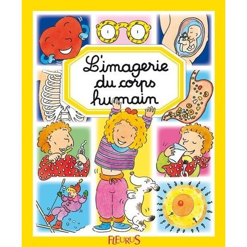 L'imagerie Du Corps Humain