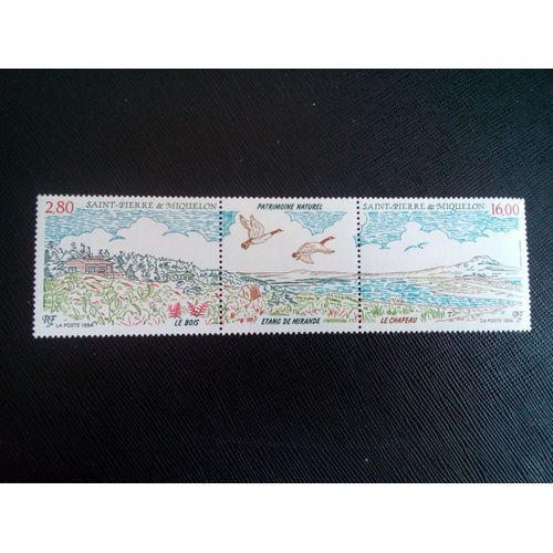 Timbre Saint Pierre Et Miquelon Yt 604a Paysage À L'étang De Mirande 1994 ( 080205 )