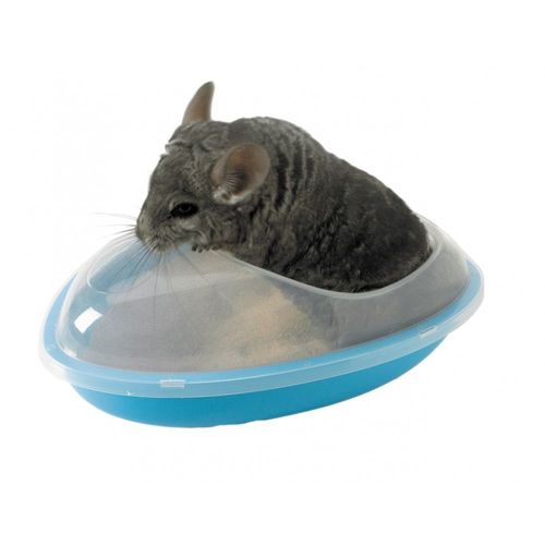 Bain Pour Chinchilla