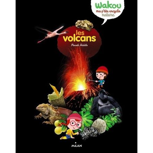 Les Volcans
