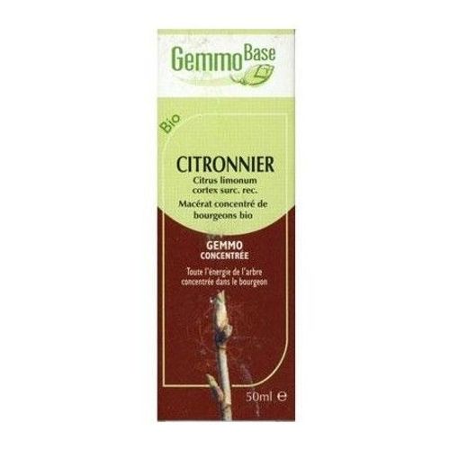 Gemmobase Citronnier 