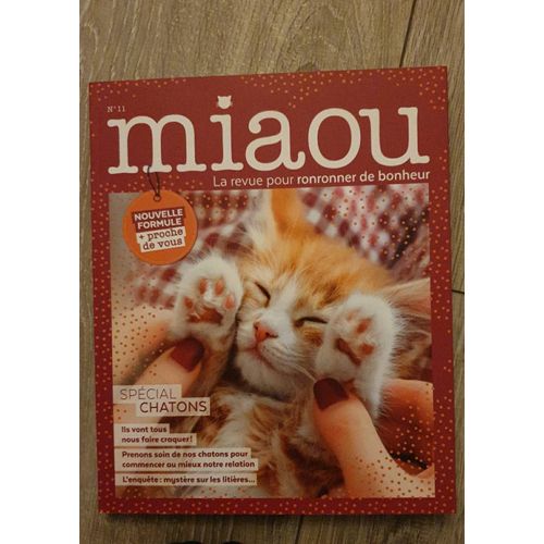 Miaou N°11 - Spécial Chatons