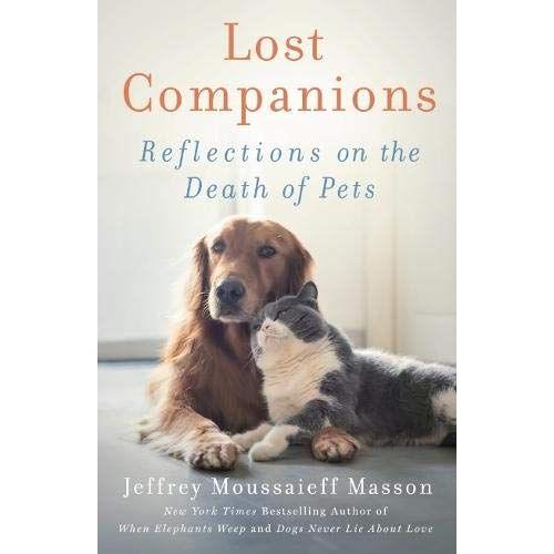 Lost Companions