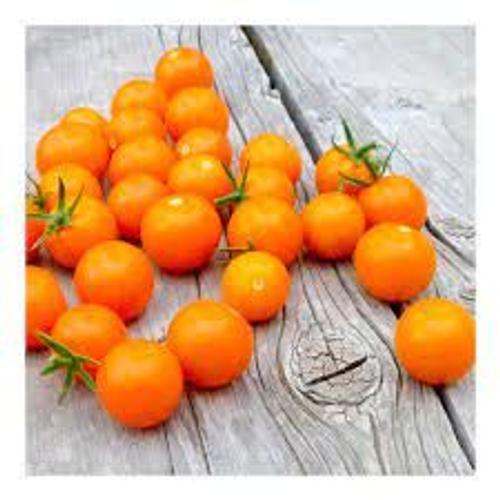 30 Graines De Tomates Cerises Orange Fiegel