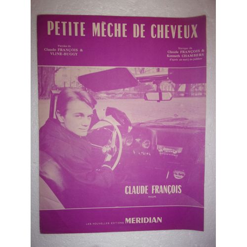 Petite Mèche De Cheveux