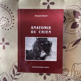 Anatomie Du Chien