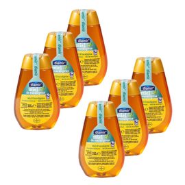 Lot 6x Miel D'eucalyptus - Squeezer 350g