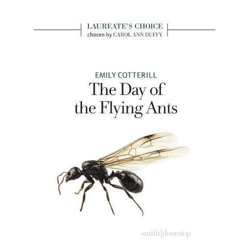 The Day Of The Flying Ants