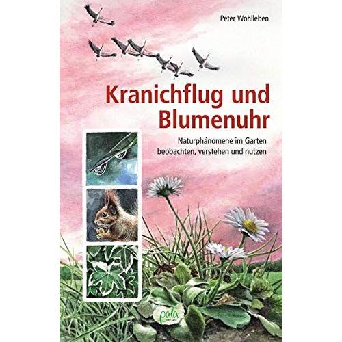 Kranichflug Und Blumenuhr