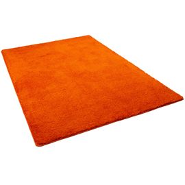 Snapstyle Palace - Tapis Shaggy À Poils Longs Orange 200x300 Cm