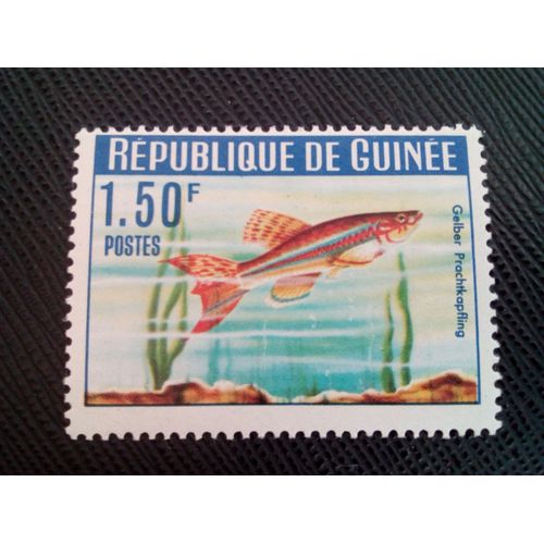 Timbre Guinee Yt 181 Gularis Jaune (Aphyosemion Gulare) 1964 ( 020305 )