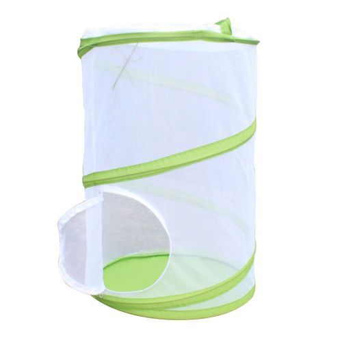 Mini Cage À Papillons, Abri Pour Insectes, Terrarium, Mantis De Prière, Boîte À Popup Cylindrique