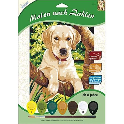 Peinture Par Numeros Labrador 30x23cm