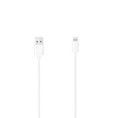 Câble USB pour iPhone/iPad avec connecteur Lightning, USB 2.0, 1,50 m