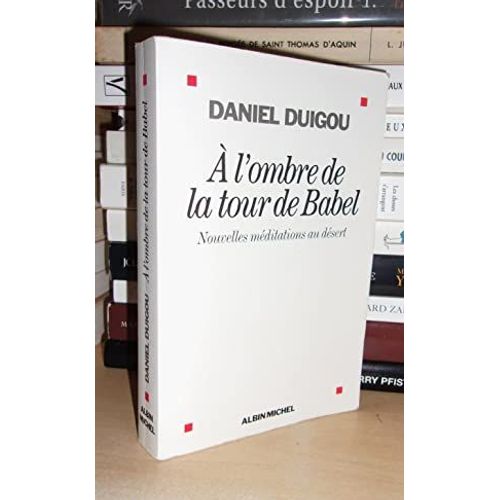 A L'ombre De La Tour De Babel : Nouvelles Méditations Au Désert
