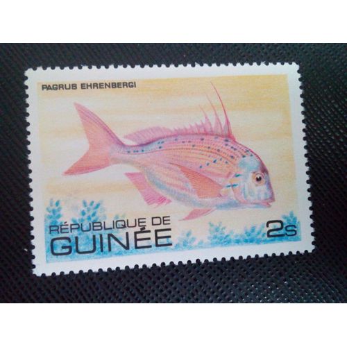 Timbre Guinee Yt 660 Goldenhead Porgy (Pagrus Ehrenbergi) 1979 ( 030305 )
