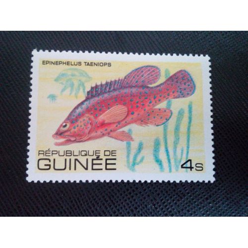 Timbre Guinee Yt 662 Hindou D'afrique (Epinephelus Taeniops) 1980 ( 030305 )