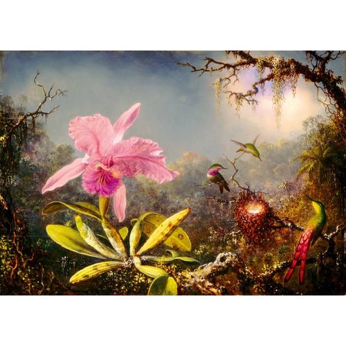 Martin Johnson Heade - Cattleya Orchid And Three Hummingbirds, 1871 - Puzzle 1000 Pièces
