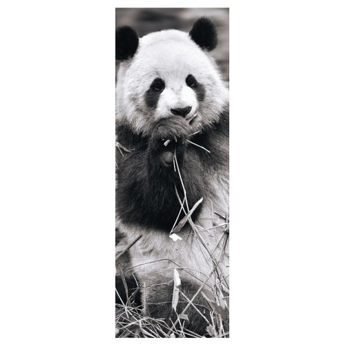 Panda Dans L'herbe - Puzzle 1000 Pièces