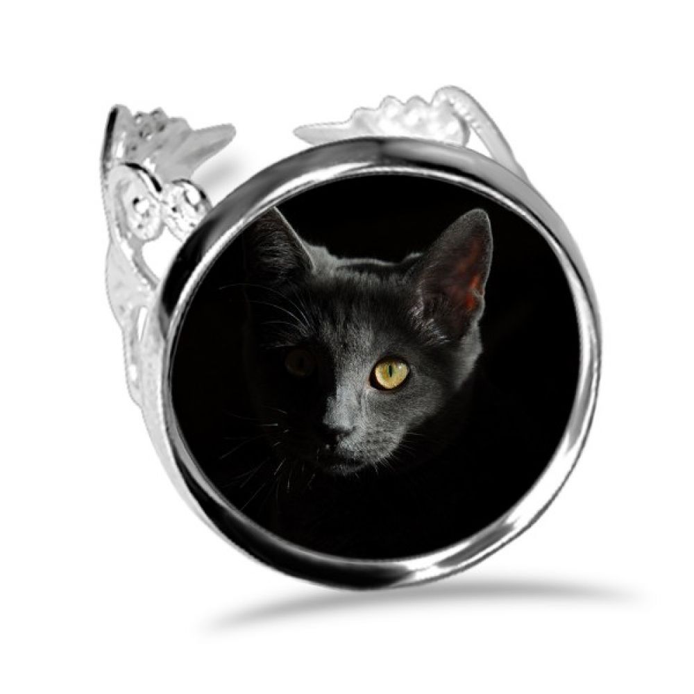 Achat Bague Chat Noir Miraculous A Prix Bas Neuf Ou Occasion Rakuten