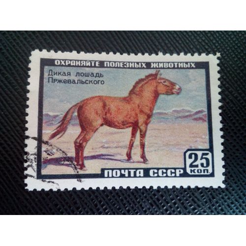 Timbre Russie / Urss Yt 2180 Cheval De Przewalski (Equus Przewalskii) 1959 ( 060305 )