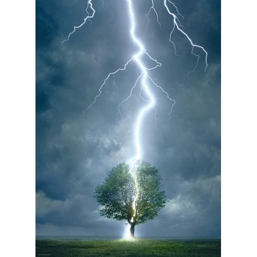 Eurographics Puzzle Lumineux - Arbre Frappant 1000 Pièces