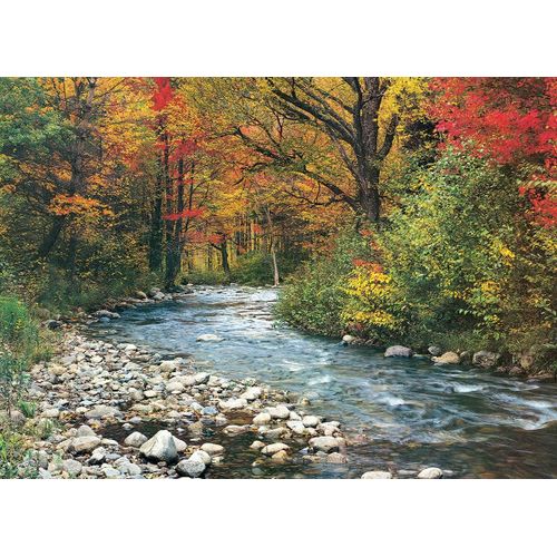 Puzzle Eurographics Ruisseau Dans La Forêt De 1000 Pièces