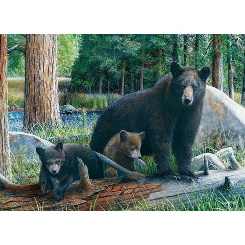 Eurographics Nouvelles Découvertes Par Kevin Daniel Puzzle 1000 Pièces Puzzle