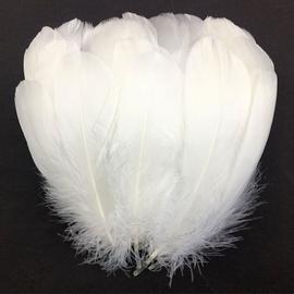 Bamboopack Lot de 100 plumes d'oie blanches naturelles de 15,2 à 22,9 cm pour loisirs créatifs Noël mariage anniversaire décoration de la maison 