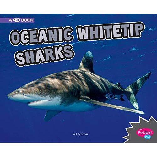 Oceanic Whitetip Sharks