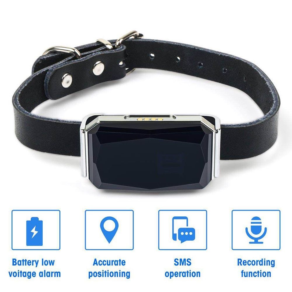 Tracker GPS pour animaux de compagnie étanche IP67 collier Gps régl...