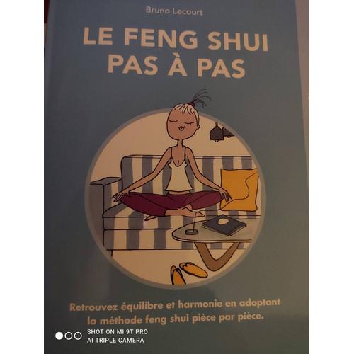 Le Vent Shui Pas À Pas