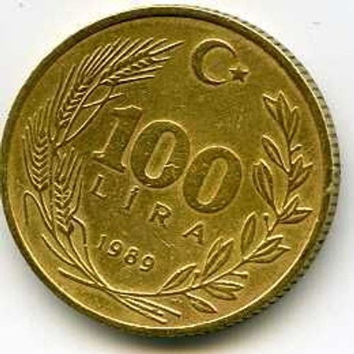 Turquie 100 Lira 1989 Bronze Alu