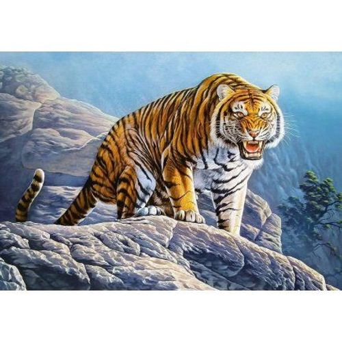 Puzzle Tigre Du Bengale Sur Un Rocher 500 Pieces - Puzzle Collection Animaux Sauvages