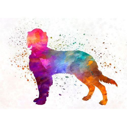Canevas imprimer Chien Epagneul Picardie=3606 Impression sur toile DIY installer 40x50cm