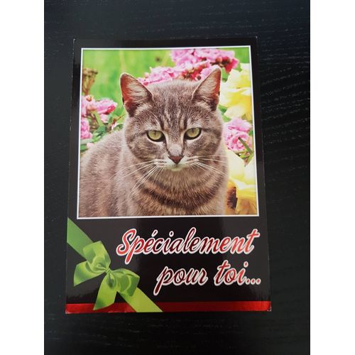 Carte Postale Chat Spécialement Pour Toi