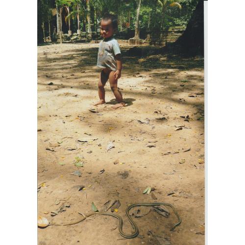Photo D'un Enfant Et D'un Serpent