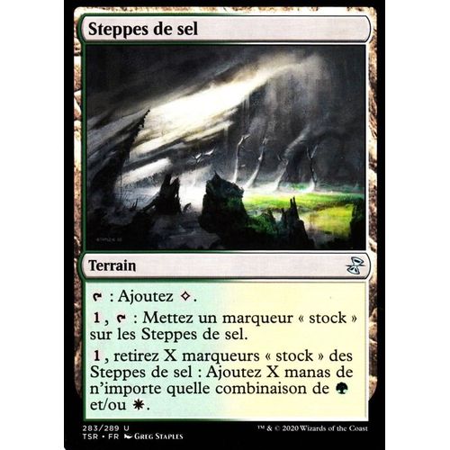 Steppes De Sel - Mtg - Spirale Temporelle Remastered - U - 283/289