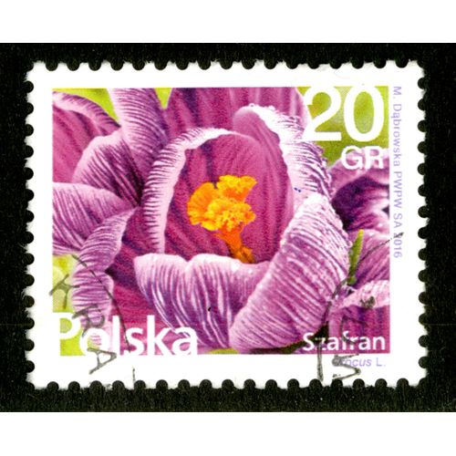 Timbre Oblitéré Polska, Szafran, Crocus L., Dabrowska , 2016, 20 Gr