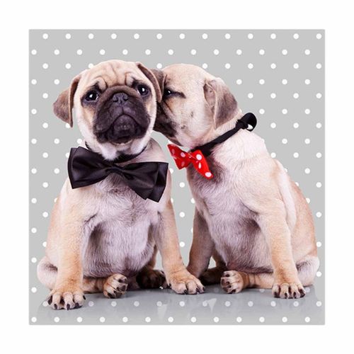 Paris Prix - Lot De 20 Serviettes En Papier "Dog Chic" 33x33cm Gris