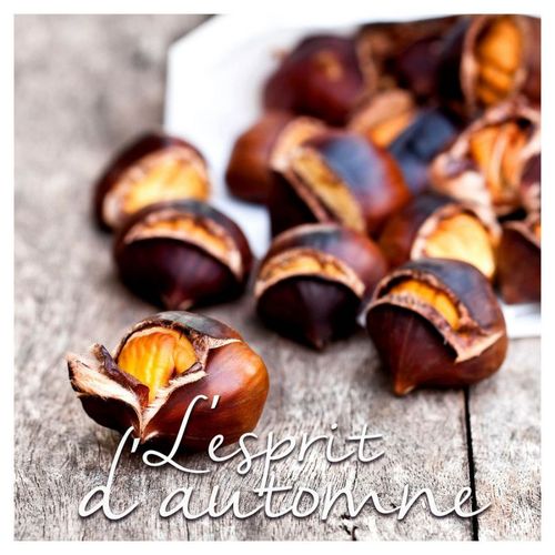 Paris Prix - Lot De 20 Serviettes En Papier "Marrons" 33x33cm Naturel