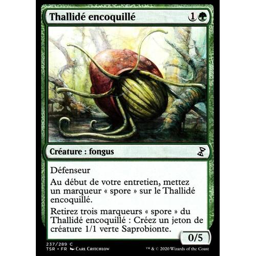 Thallidé Encoquillé - Mtg - Spirale Temporelle Remastered - C - 237/289